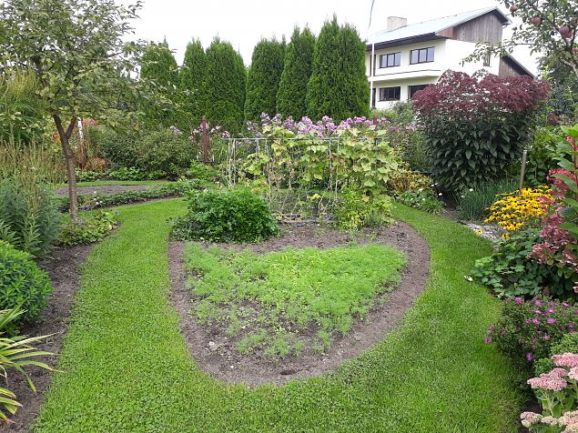   Dendroloogia Seltsi suvep�evad 06 - 08.08.18 P�rnumaal