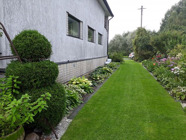   Dendroloogia Seltsi suvep�evad 06 - 08.08.18 P�rnumaal