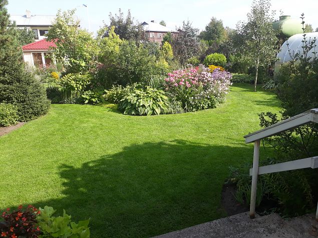   Dendroloogia Seltsi suvep�evad 06 - 08.08.18 P�rnumaal