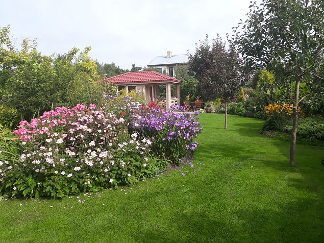   Dendroloogia Seltsi suvep�evad 06 - 08.08.18 P�rnumaal