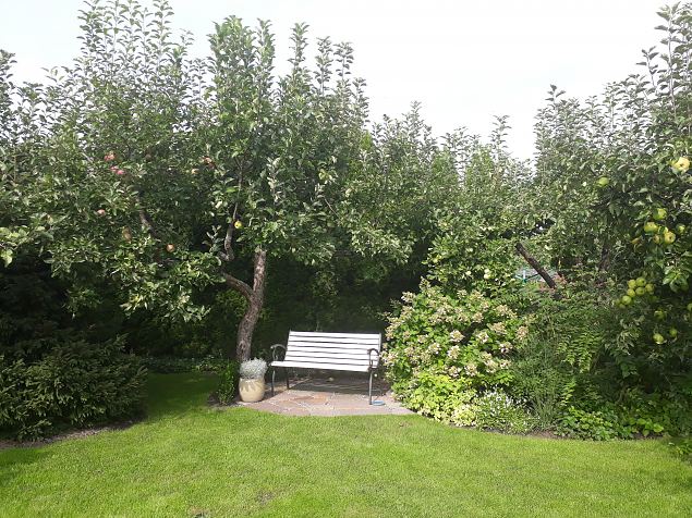   Dendroloogia Seltsi suvep�evad 06 - 08.08.18 P�rnumaal