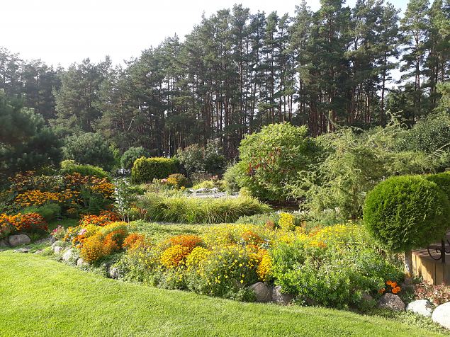   Dendroloogia Seltsi suvep�evad 06 - 08.08.18 P�rnumaal