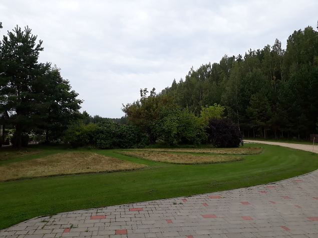   Dendroloogia Seltsi suvep�evad 06 - 08.08.18 P�rnumaal