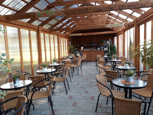   Dendroloogia Seltsi suvep�evad 06 - 08.08.18 P�rnumaal