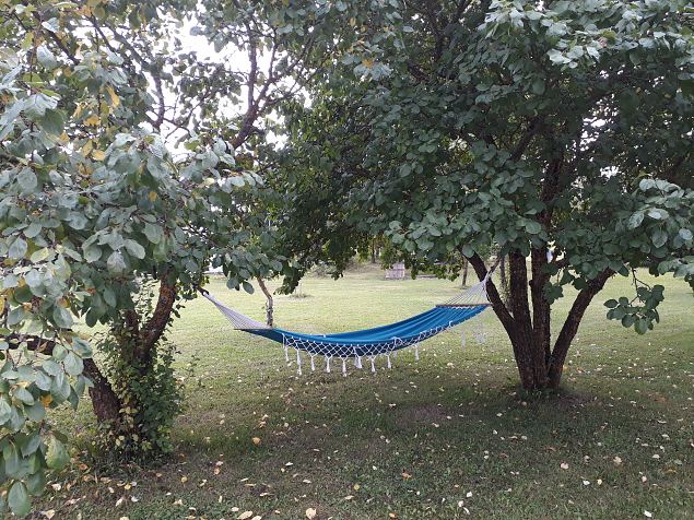   Dendroloogia Seltsi suvep�evad 06 - 08.08.18 P�rnumaal