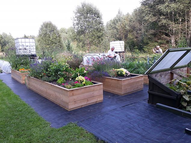   Dendroloogia Seltsi suvep�evad 06 - 08.08.18 P�rnumaal