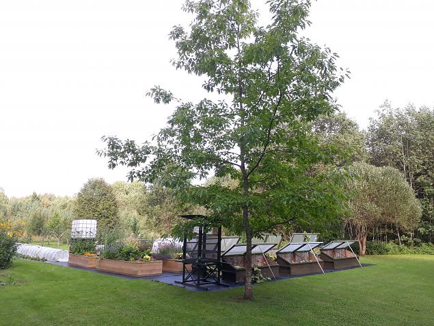   Dendroloogia Seltsi suvepevad 06 - 08.08.18 Prnumaal