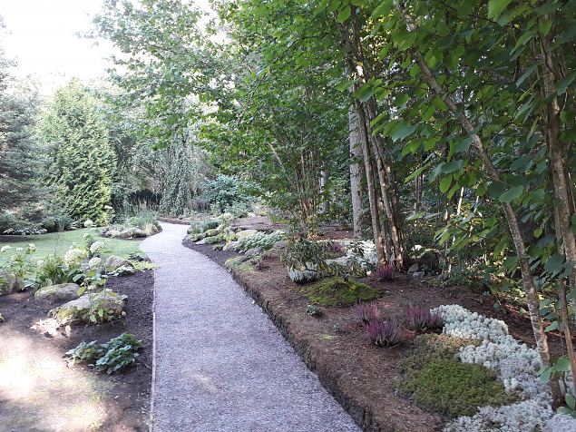   Dendroloogia Seltsi suvep�evad 06 - 08.08.18 P�rnumaal