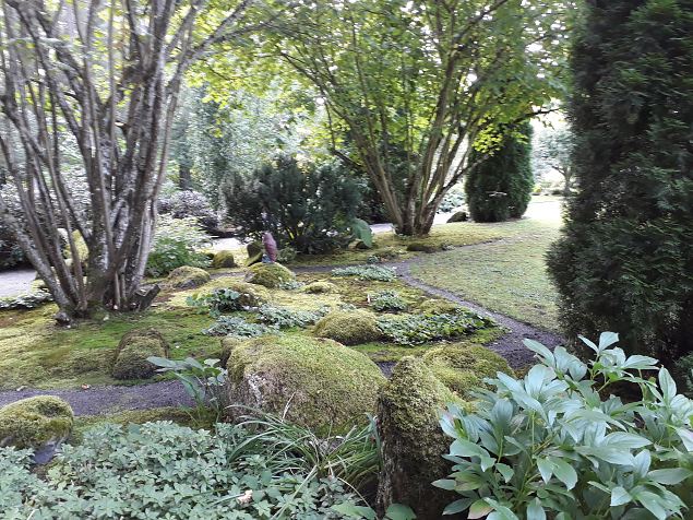   Dendroloogia Seltsi suvep�evad 06 - 08.08.18 P�rnumaal