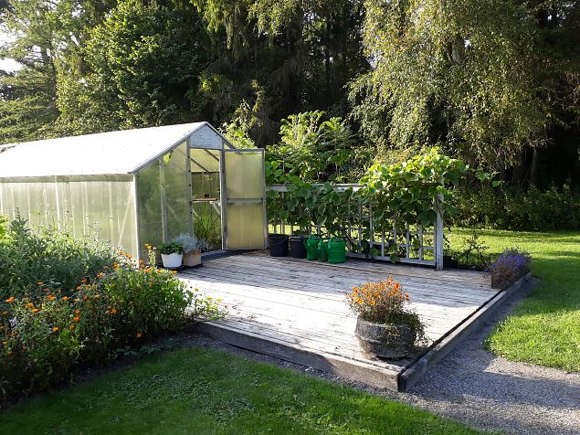   Dendroloogia Seltsi suvep�evad 06 - 08.08.18 P�rnumaal