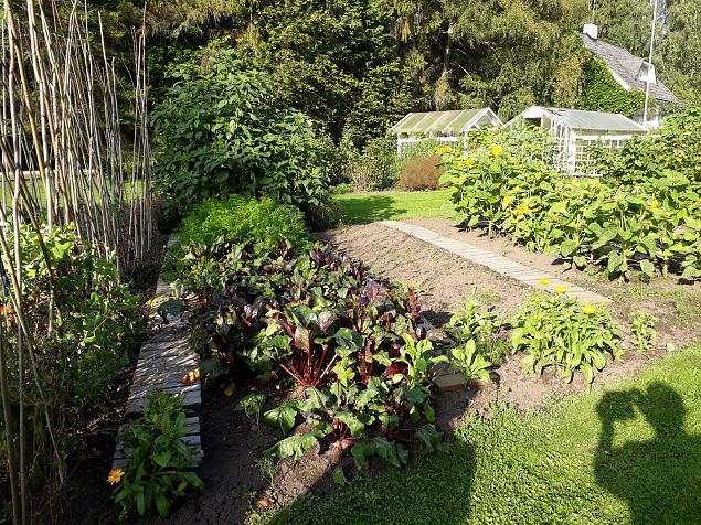   Dendroloogia Seltsi suvep�evad 06 - 08.08.18 P�rnumaal