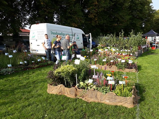   Dendroloogia Seltsi suvep�evad 06 - 08.08.18 P�rnumaal