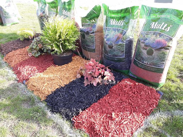   Dendroloogia Seltsi suvep�evad 06 - 08.08.18 P�rnumaal