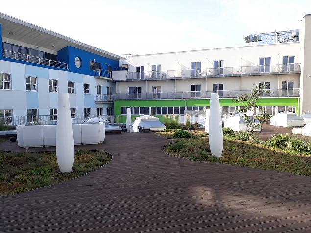   Dendroloogia Seltsi suvep�evad 06 - 08.08.18 P�rnumaal