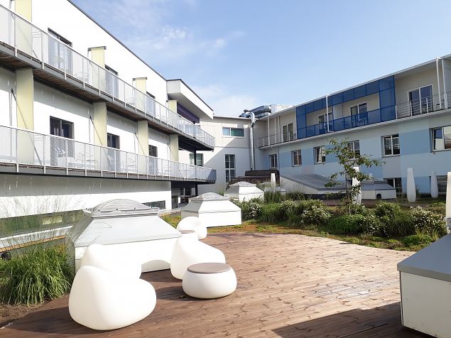   Dendroloogia Seltsi suvep�evad 06 - 08.08.18 P�rnumaal