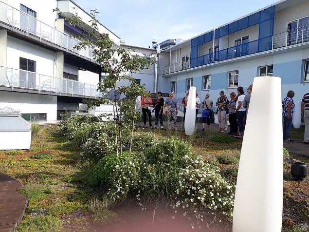   Dendroloogia Seltsi suvep�evad 06 - 08.08.18 P�rnumaal