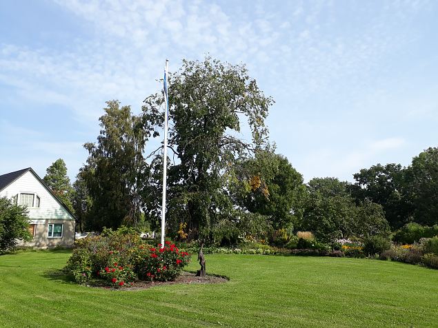   Dendroloogia Seltsi suvepevad 06 - 08.08.18 Prnumaal