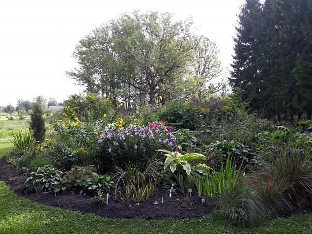   Dendroloogia Seltsi suvep�evad 06 - 08.08.18 P�rnumaal