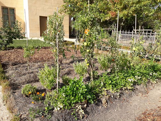   Prantsuse kuninganna Marie -Antoinette kla Versaille lossi Vikese Trianoni pargis. Okt. 2018