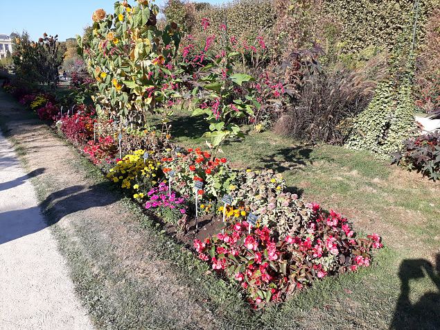   Pariisi aiad, pargid. Oktoober 2018