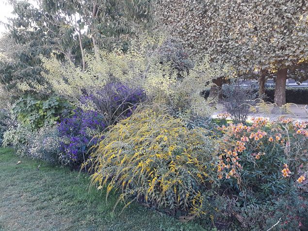   Pariisi aiad, pargid. Oktoober 2018