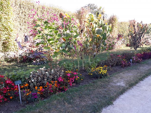   Pariisi aiad, pargid. Oktoober 2018