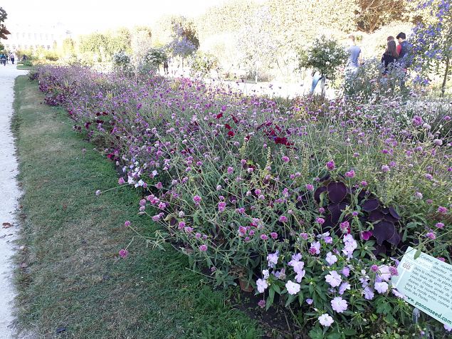   Pariisi aiad, pargid. Oktoober 2018