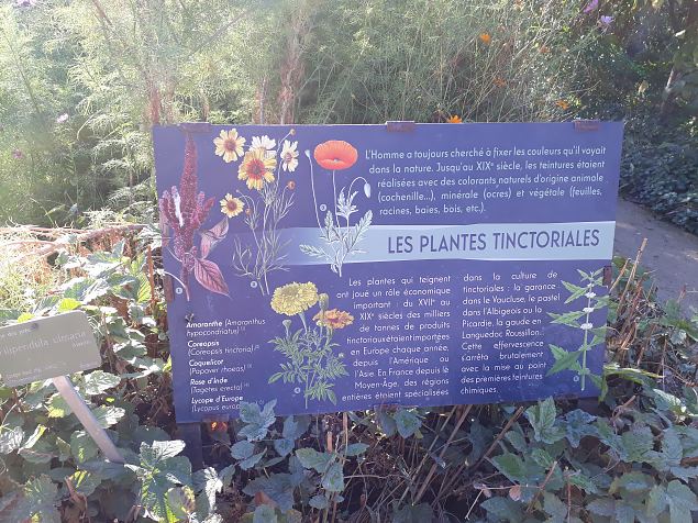   Pariisi aiad, pargid. Oktoober 2018