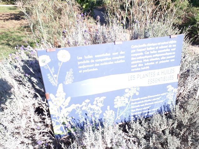   Pariisi aiad, pargid. Oktoober 2018