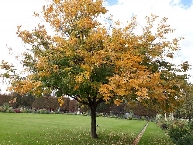   Pariisi aiad, pargid. Oktoober 2018