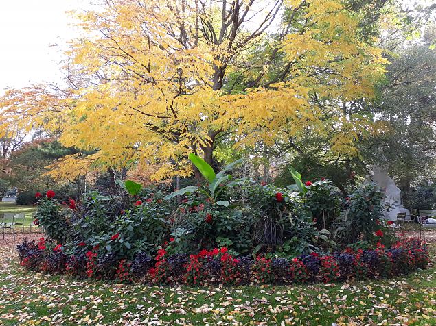   Pariisi aiad, pargid. Oktoober 2018