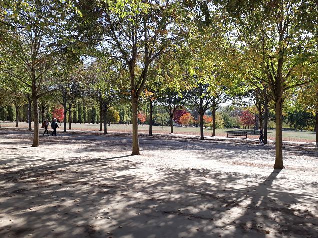   Versaille lossi aed okt. 2018