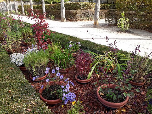   Versaille lossi aed okt. 2018