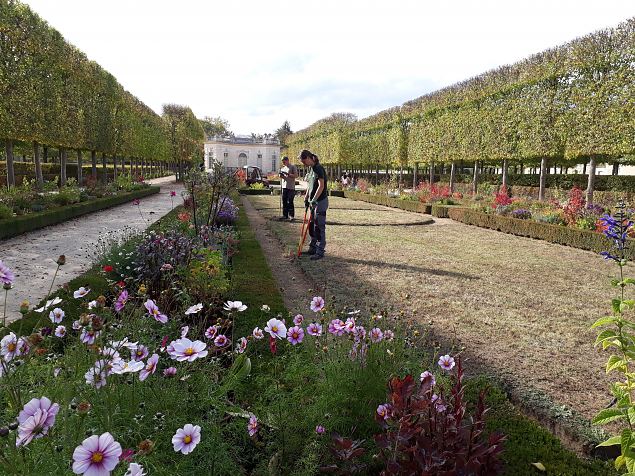   Versaille lossi aed okt. 2018