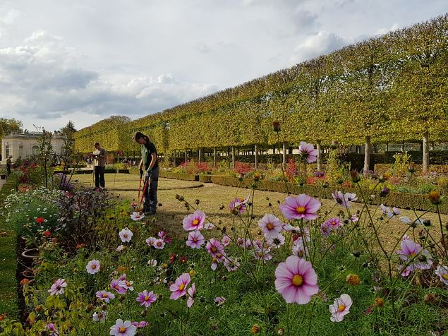   Versaille lossi aed okt. 2018