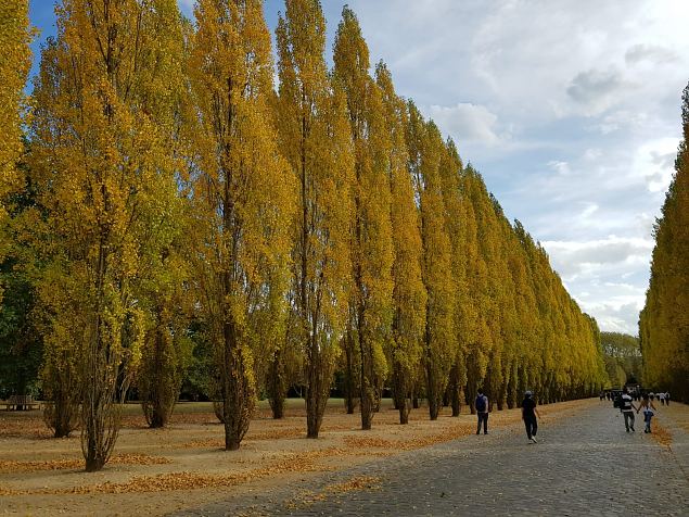   Versaille lossi aed okt. 2018