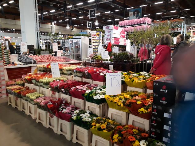    Aiandus- ja sisustusmess Helsingis 05-07.04.2019