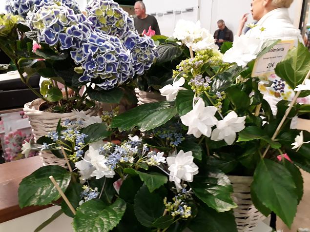    Aiandus- ja sisustusmess Helsingis 05-07.04.2019