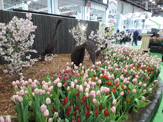    Aiandus- ja sisustusmess Helsingis 05-07.04.2019