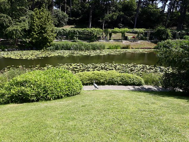   Kopenhaageni �likooli  botaanikaaed juuni 2019