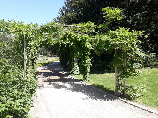   Kopenhaageni �likooli  botaanikaaed juuni 2019