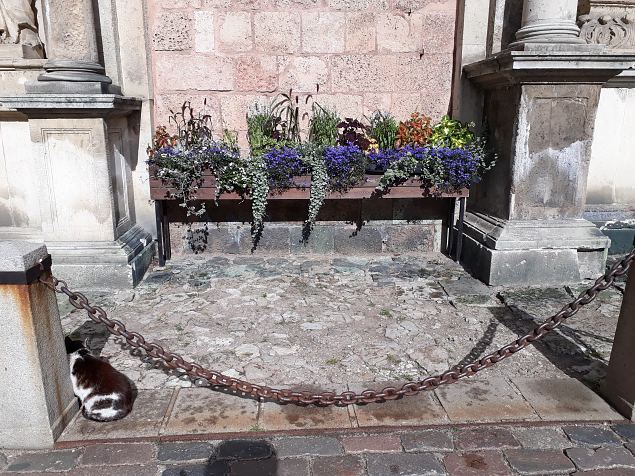   Riia vanalinna haljastus juuli 2019