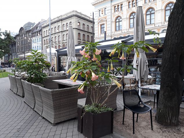   Riia vanalinna haljastus juuli 2019