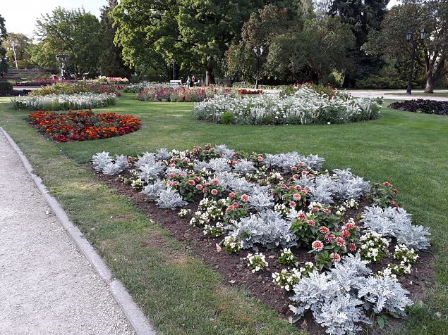   Riia vanalinna haljastus juuli 2019