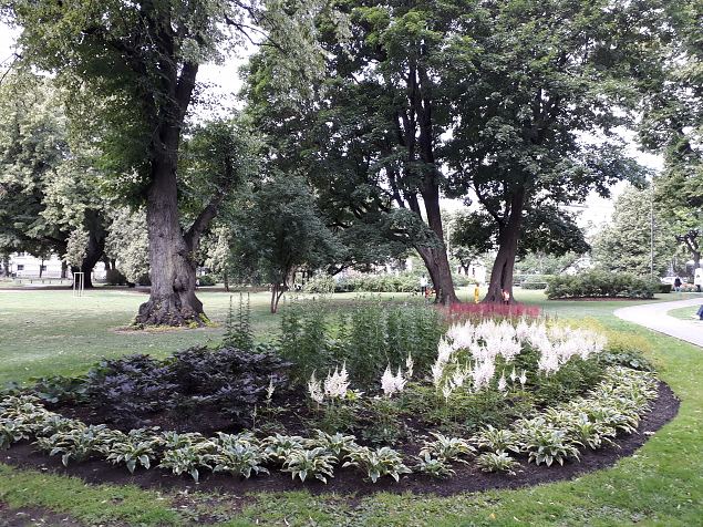   Riia vanalinna haljastus juuli 2019