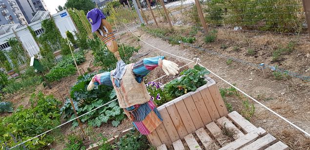   Vitoria (Hispaania) Lakua linnaosa �koloogiline kogukonna aed teisel eluaastal juuli 2019