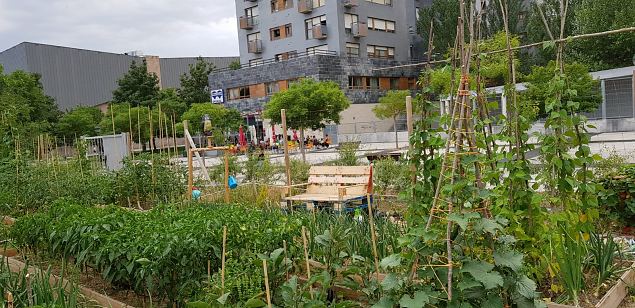   Vitoria (Hispaania) Lakua linnaosa �koloogiline kogukonna aed teisel eluaastal juuli 2019