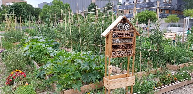   Vitoria (Hispaania) Lakua linnaosa �koloogiline kogukonna aed teisel eluaastal juuli 2019