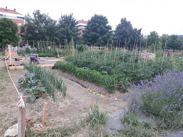   Vitoria (Hispaania) Lakua linnaosa �koloogiline kogukonna aed teisel eluaastal juuli 2019