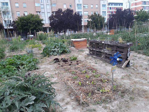   Vitoria (Hispaania) Lakua linnaosa �koloogiline kogukonna aed teisel eluaastal juuli 2019